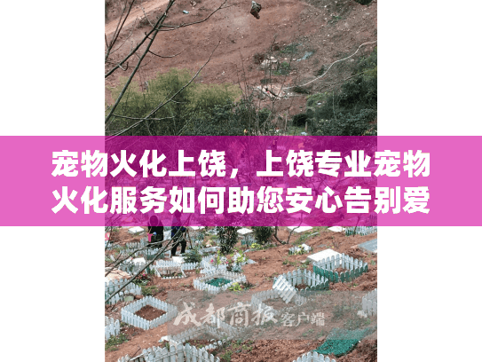 宠物火化上饶，上饶专业宠物火化服务如何助您安心告别爱宠？