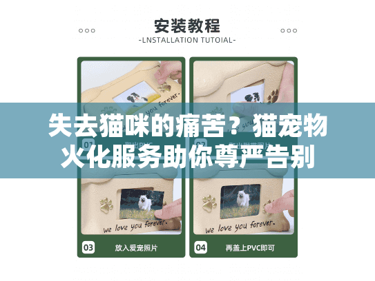 失去猫咪的痛苦？猫宠物火化服务助你尊严告别