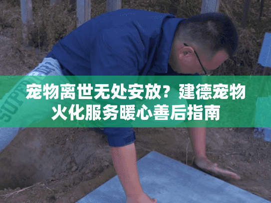 宠物离世无处安放？建德宠物火化服务暖心善后指南