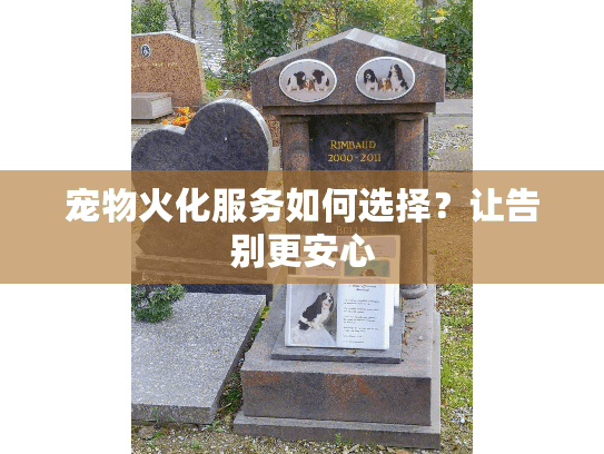 宠物火化服务如何选择？让告别更安心