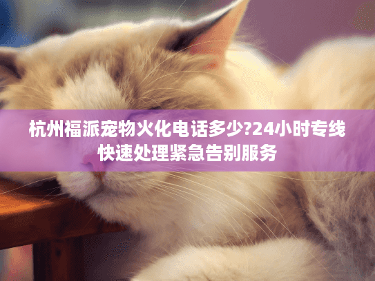 杭州福派宠物火化电话多少?24小时专线快速处理紧急告别服务