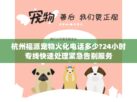 杭州福派宠物火化电话多少?24小时专线快速处理紧急告别服务
