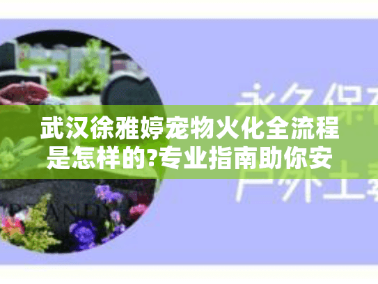 武汉徐雅婷宠物火化全流程是怎样的?专业指南助你安心告别