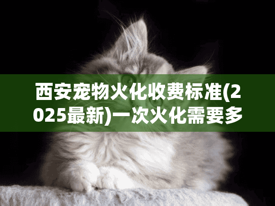 西安宠物火化收费标准(2025最新)一次火化需要多少钱?