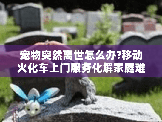 宠物突然离世怎么办?移动火化车上门服务化解家庭难题