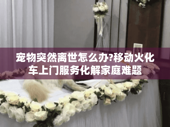 宠物突然离世怎么办?移动火化车上门服务化解家庭难题