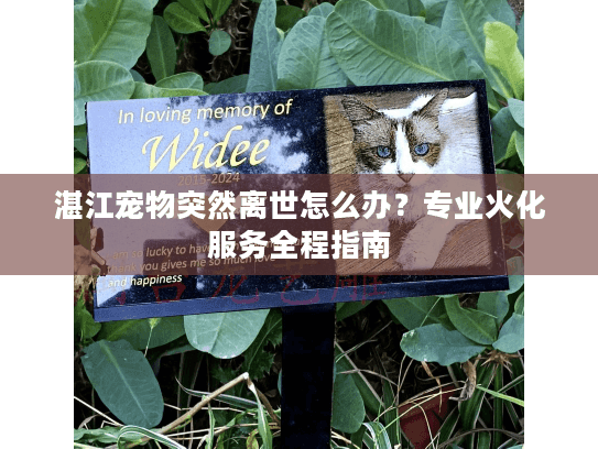湛江宠物突然离世怎么办？专业火化服务全程指南