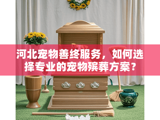 河北宠物善终服务，如何选择专业的宠物殡葬方案？