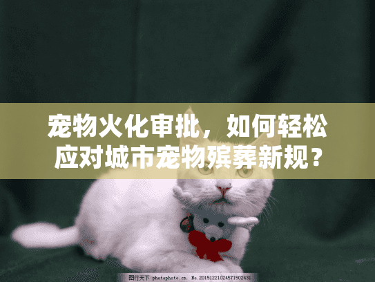 宠物火化审批，如何轻松应对城市宠物殡葬新规？