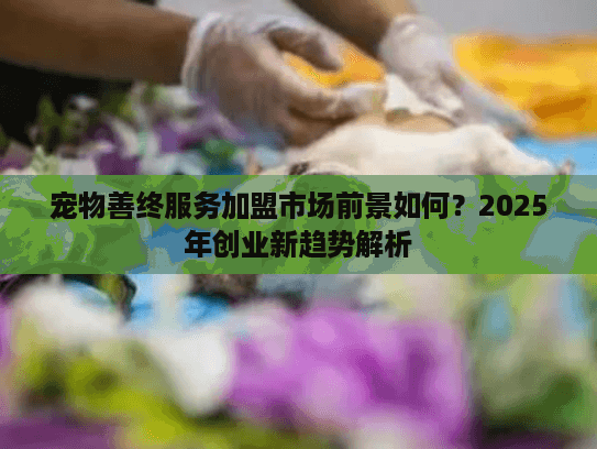 宠物善终服务加盟市场前景如何？2025年创业新趋势解析