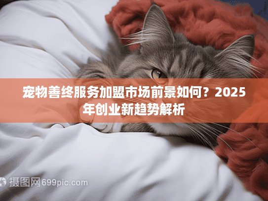 宠物善终服务加盟市场前景如何？2025年创业新趋势解析