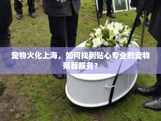 宠物火化上海，如何找到贴心专业的宠物殡葬服务？