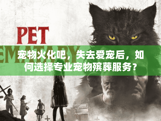 宠物火化吧，失去爱宠后，如何选择专业宠物殡葬服务？