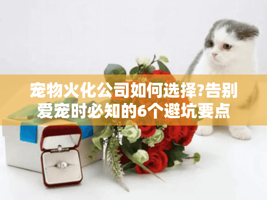宠物火化公司如何选择?告别爱宠时必知的6个避坑要点