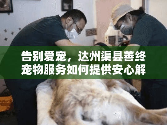 告别爱宠，达州渠县善终宠物服务如何提供安心解决方案？