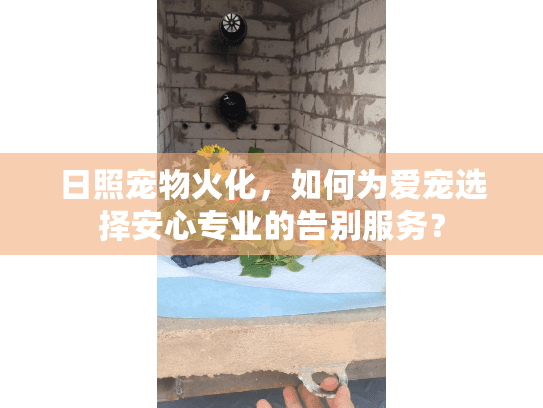 日照宠物火化，如何为爱宠选择安心专业的告别服务？