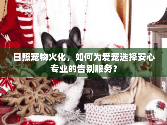 日照宠物火化，如何为爱宠选择安心专业的告别服务？