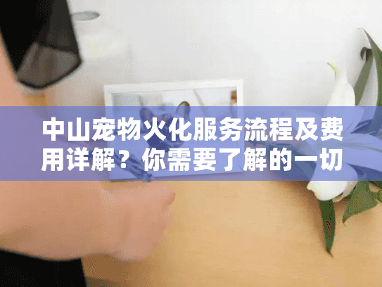 中山宠物火化服务流程及费用详解？你需要了解的一切都在这里