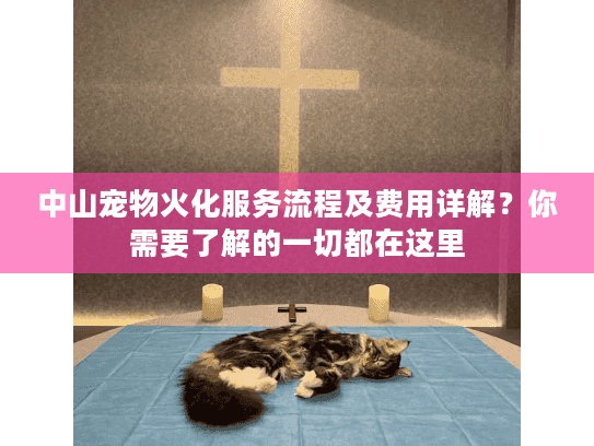 中山宠物火化服务流程及费用详解？你需要了解的一切都在这里