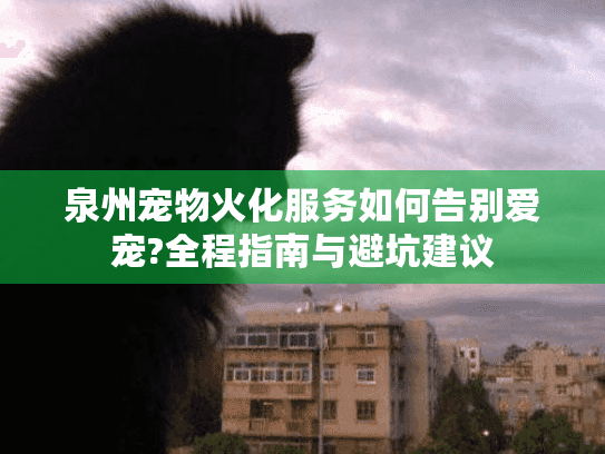 泉州宠物火化服务如何告别爱宠?全程指南与避坑建议