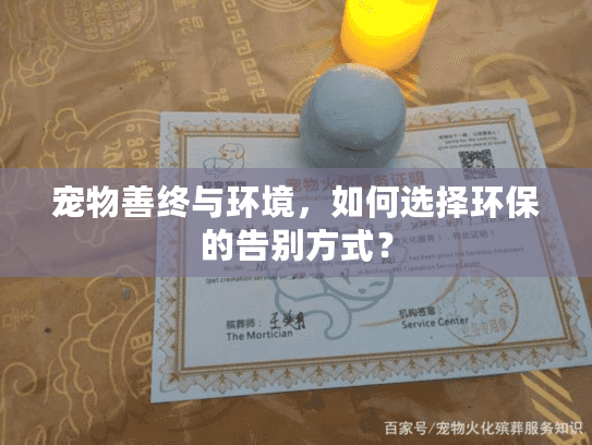 宠物善终与环境，如何选择环保的告别方式？