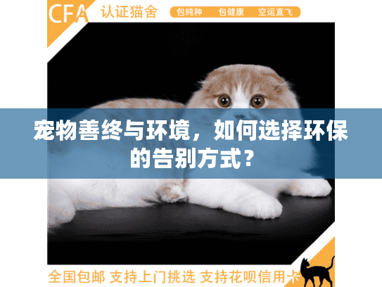 宠物善终与环境，如何选择环保的告别方式？