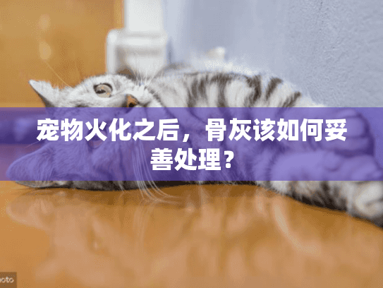 宠物火化之后，骨灰该如何妥善处理？