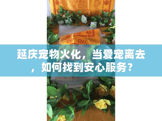 延庆宠物火化，当爱宠离去，如何找到安心服务？