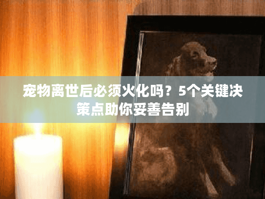 宠物离世后必须火化吗？5个关键决策点助你妥善告别