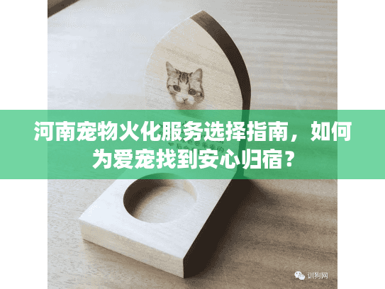 河南宠物火化服务选择指南，如何为爱宠找到安心归宿？