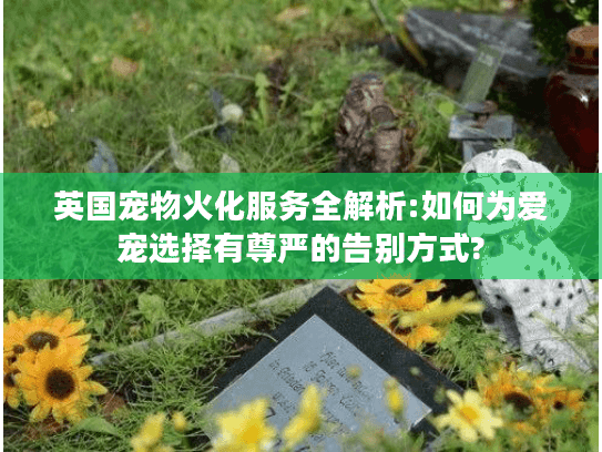 英国宠物火化服务全解析:如何为爱宠选择有尊严的告别方式?