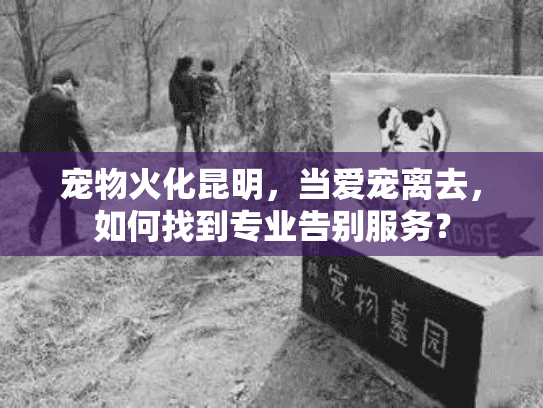 宠物火化昆明，当爱宠离去，如何找到专业告别服务？