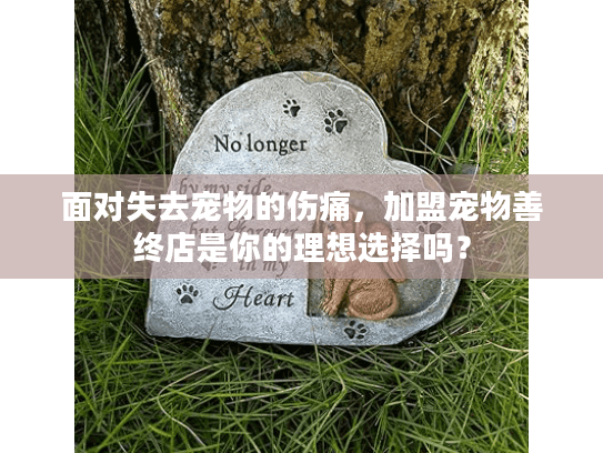 面对失去宠物的伤痛，加盟宠物善终店是你的理想选择吗？