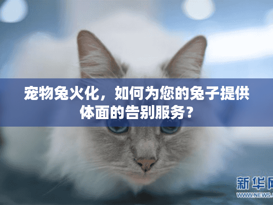 宠物兔火化，如何为您的兔子提供体面的告别服务？