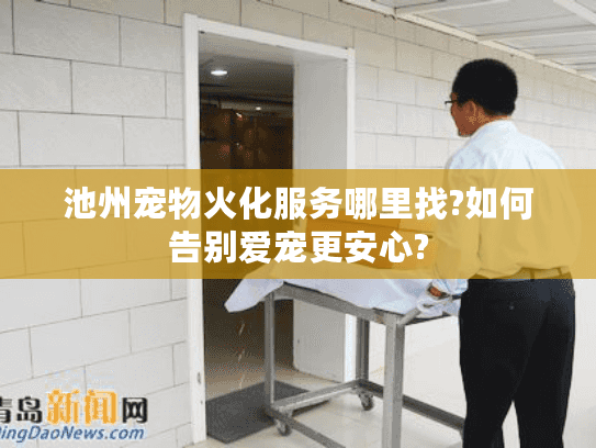 池州宠物火化服务哪里找?如何告别爱宠更安心?