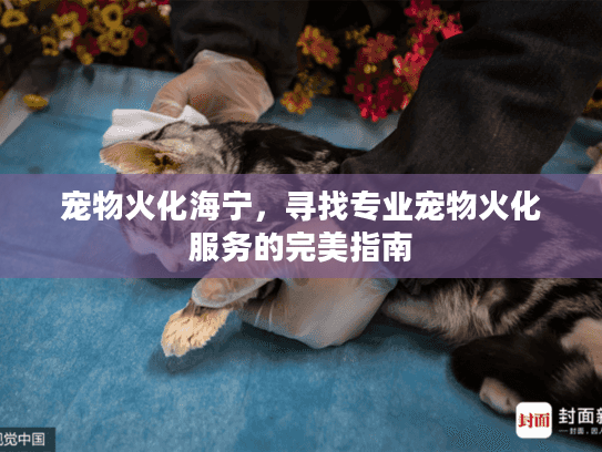 宠物火化海宁，寻找专业宠物火化服务的完美指南