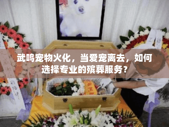武鸣宠物火化，当爱宠离去，如何选择专业的殡葬服务？
