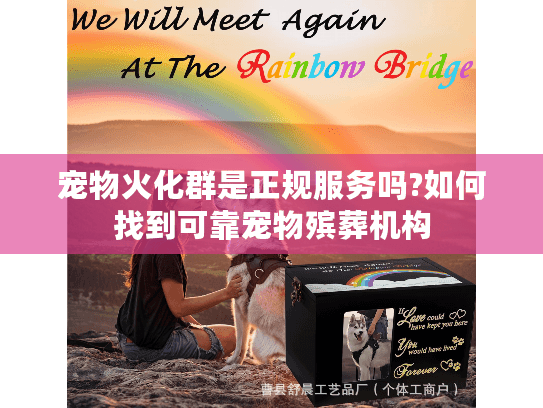 宠物火化群是正规服务吗?如何找到可靠宠物殡葬机构