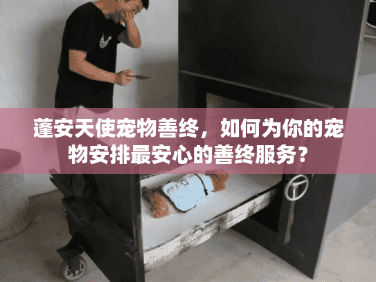 蓬安天使宠物善终，如何为你的宠物安排最安心的善终服务？