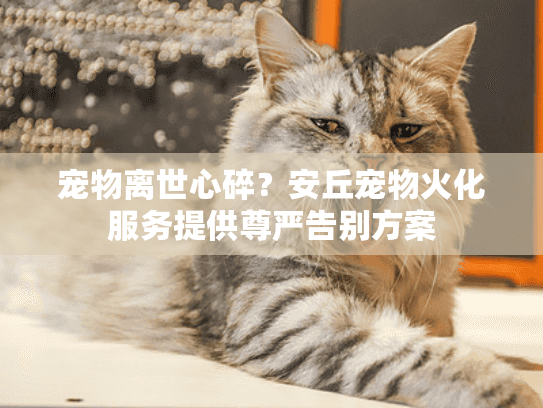宠物离世心碎？安丘宠物火化服务提供尊严告别方案
