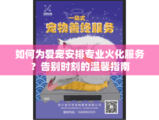 如何为爱宠安排专业火化服务？告别时刻的温馨指南