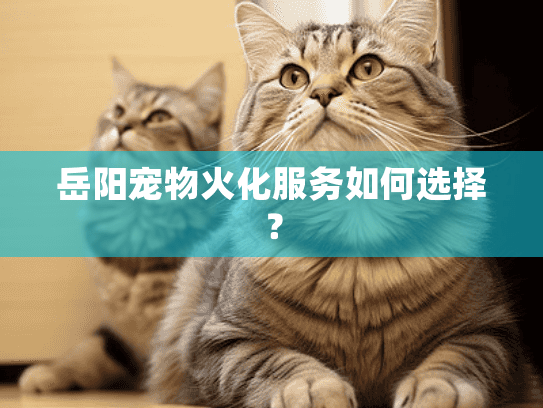 岳阳宠物火化服务如何选择？