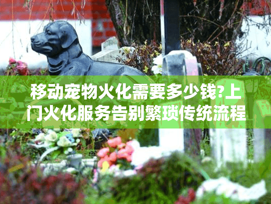 移动宠物火化需要多少钱?上门火化服务告别繁琐传统流程
