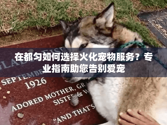在都匀如何选择火化宠物服务？专业指南助您告别爱宠