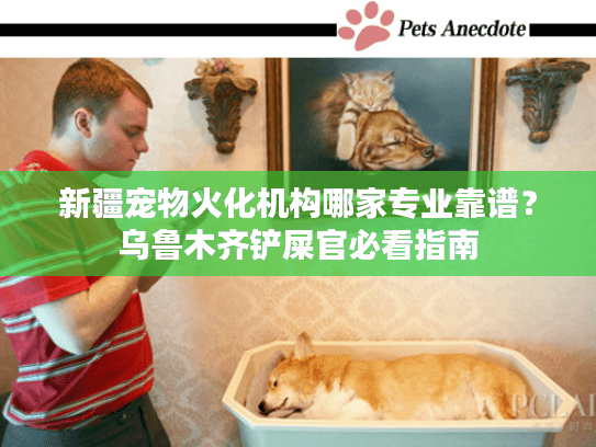 新疆宠物火化机构哪家专业靠谱？乌鲁木齐铲屎官必看指南