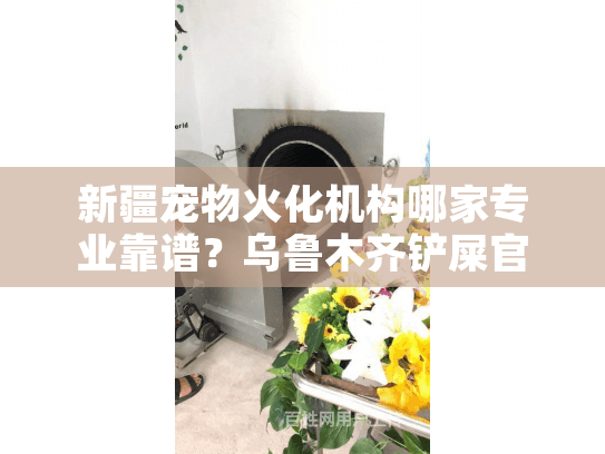 新疆宠物火化机构哪家专业靠谱？乌鲁木齐铲屎官必看指南