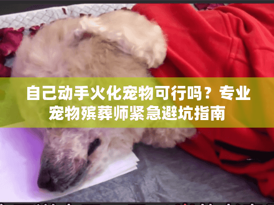 自己动手火化宠物可行吗？专业宠物殡葬师紧急避坑指南