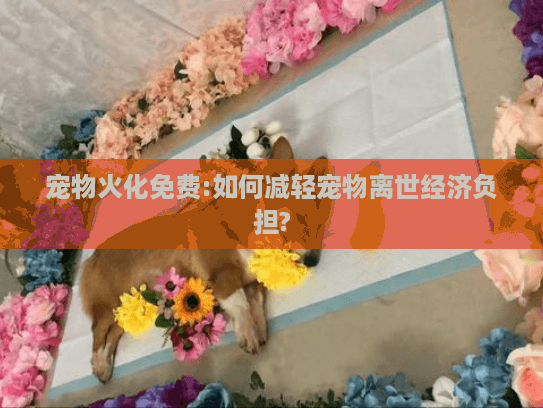 宠物火化免费:如何减轻宠物离世经济负担?
