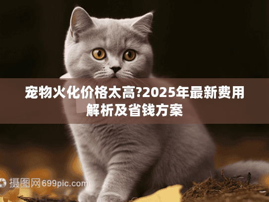 宠物火化价格太高?2025年最新费用解析及省钱方案