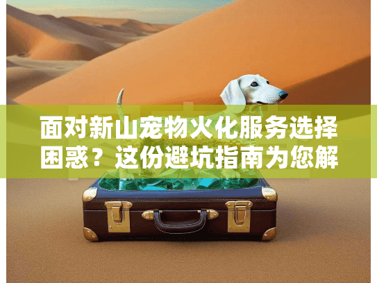 面对新山宠物火化服务选择困惑？这份避坑指南为您解忧